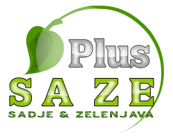SA ZE Plus | Distribucija sadja in zelenjave