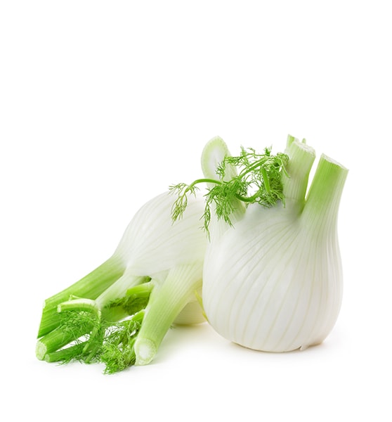 Italian Garlic
